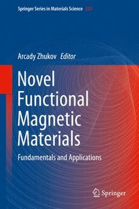 bokomslag Novel Functional Magnetic Materials