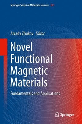 Novel Functional Magnetic Materials 1