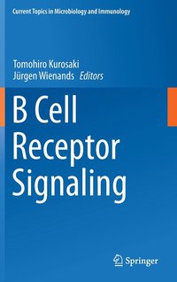 bokomslag B Cell Receptor Signaling