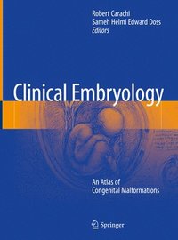 bokomslag Clinical Embryology