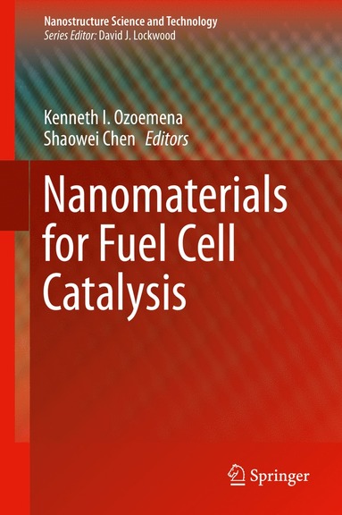 bokomslag Nanomaterials for Fuel Cell Catalysis