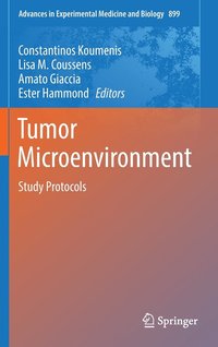 bokomslag Tumor Microenvironment