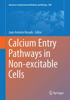 bokomslag Calcium Entry Pathways in Non-excitable Cells