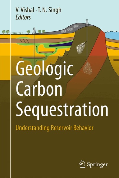 V. Vishal, T.N. Singh - Geologic Carbon Sequestration, Inbunden