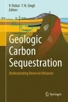 bokomslag Geologic Carbon Sequestration