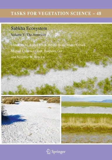 M. Ajmal Khan, Benno Boër, Münir Ȫzturk, Miguel Clüsener-Godt, Bilquees Gul, Siegmar-W. Breckle - Sabkha Ecosystems, Inbunden