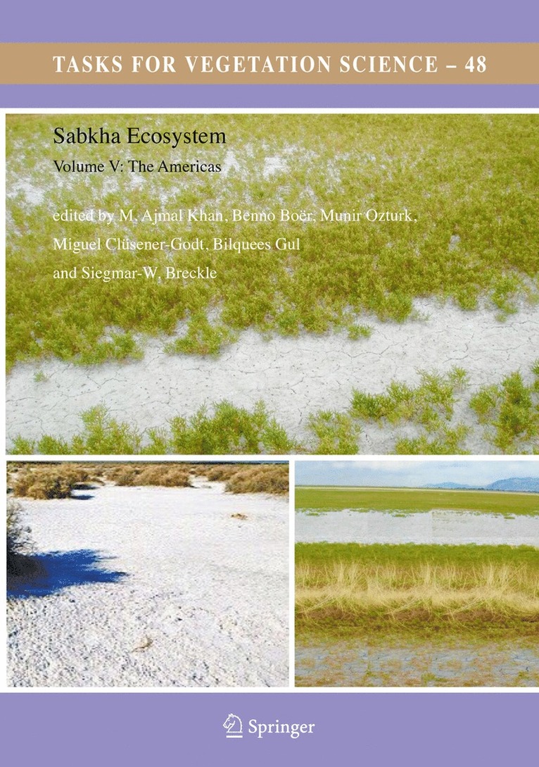 M. Ajmal Khan, Benno Boër, Münir Ȫzturk, Miguel Clüsener-Godt, Bilquees Gul, Siegmar-W. Breckle, Münir ¿Zturk - Sabkha Ecosystems, Inbunden