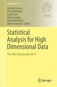 bokomslag Statistical Analysis for High-Dimensional Data