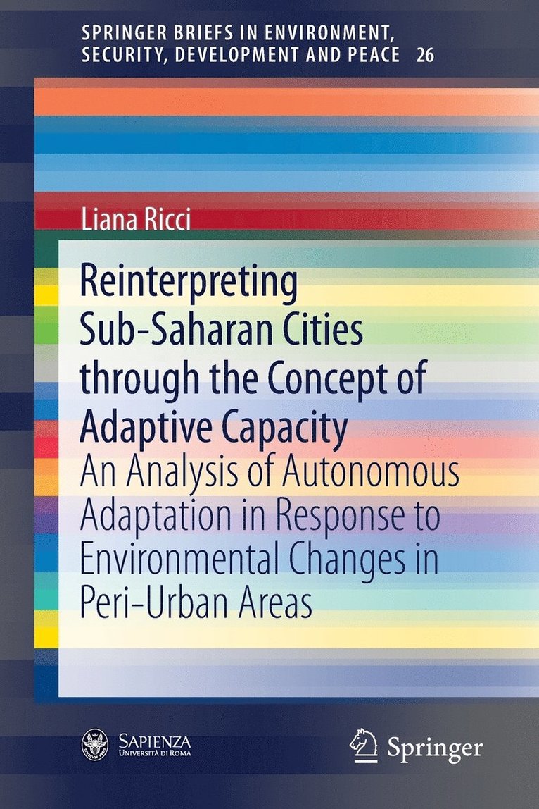 Reinterpreting Sub-Saharan Cities through the Concept of Adaptive Capacity 1