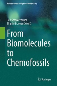 bokomslag From Biomolecules to Chemofossils