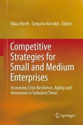 bokomslag Competitive Strategies for Small and Medium Enterprises