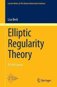 bokomslag Elliptic Regularity Theory