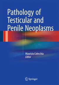 bokomslag Pathology of Testicular and Penile Neoplasms