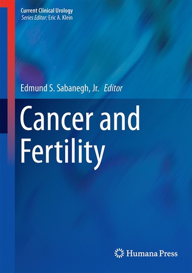 bokomslag Cancer and Fertility