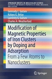 bokomslag Modification of Magnetic Properties of Iron Clusters by Doping and Adsorption