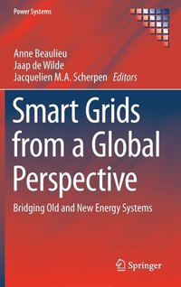 bokomslag Smart Grids from a Global Perspective