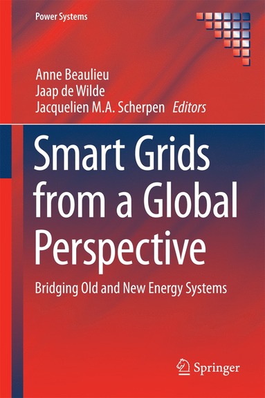 bokomslag Smart Grids from a Global Perspective