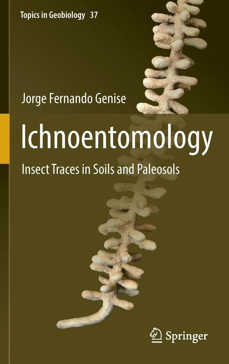 Ichnoentomology 1