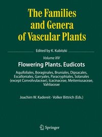 bokomslag Flowering Plants. Eudicots
