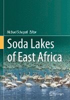 bokomslag Soda Lakes of East Africa