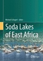 bokomslag Soda Lakes of East Africa