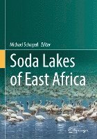 Soda Lakes of East Africa 1