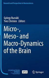 bokomslag Micro-, Meso- and Macro-Dynamics of the Brain