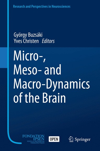 bokomslag Micro-, Meso- and Macro-Dynamics of the Brain