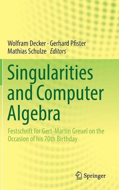 bokomslag Singularities and Computer Algebra