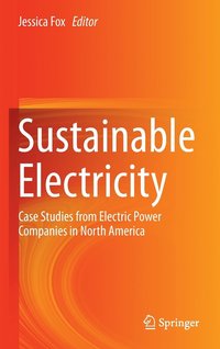 bokomslag Sustainable Electricity