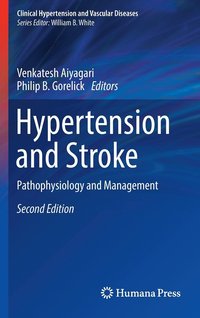 bokomslag Hypertension and Stroke