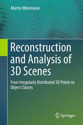 Reconstruction and Analysis of 3D Scenes 1