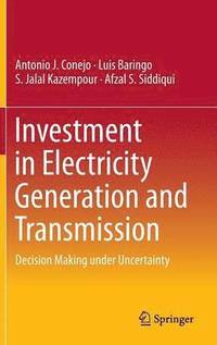 bokomslag Investment in Electricity Generation and Transmission