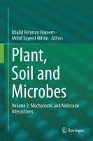 bokomslag Plant, Soil and Microbes