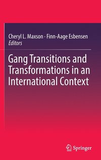 bokomslag Gang Transitions and Transformations in an International Context