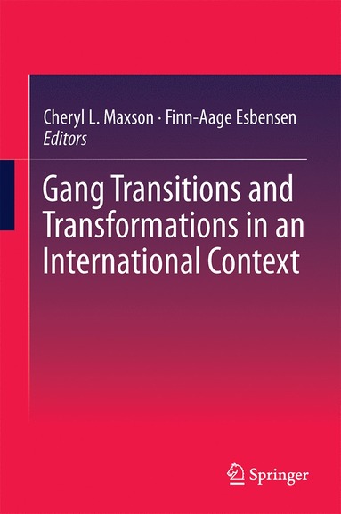 bokomslag Gang Transitions and Transformations in an International Context