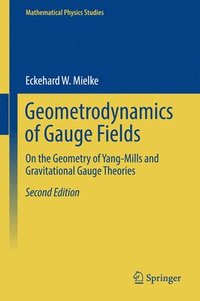 bokomslag Geometrodynamics of Gauge Fields