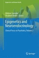 bokomslag Epigenetics and Neuroendocrinology