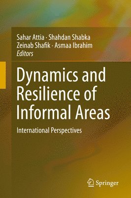 Dynamics and Resilience of Informal Areas 1