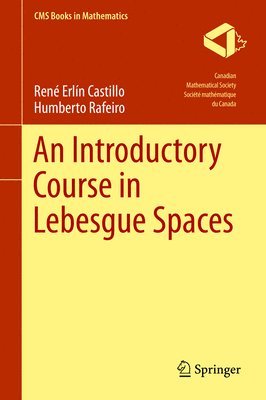 Rene Erlin Castillo, Humberto Rafeiro - Introductory Course in Lebesgue Spaces, Inbunden