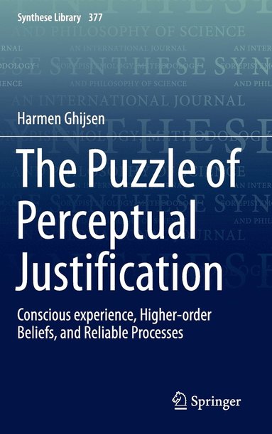 bokomslag The Puzzle of Perceptual Justification