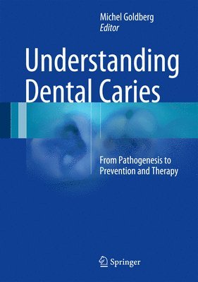 bokomslag Understanding Dental Caries