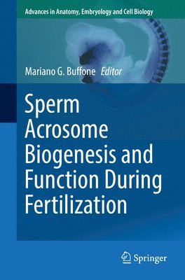 Sperm Acrosome Biogenesis and Function During Fertilization 1