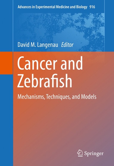 bokomslag Cancer and Zebrafish