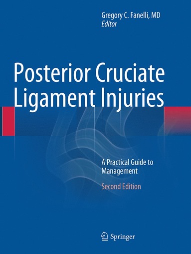 bokomslag Posterior Cruciate Ligament Injuries