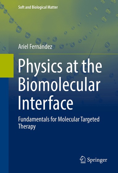 Ariel Fernández - Physics at the Biomolecular Interface, Inbunden
