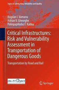 bokomslag Critical Infrastructures: Risk and Vulnerability Assessment in Transportation of Dangerous Goods