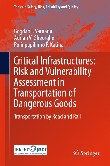 bokomslag Critical Infrastructures: Risk and Vulnerability Assessment in Transportation of Dangerous Goods