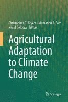 bokomslag Agricultural Adaptation to Climate Change