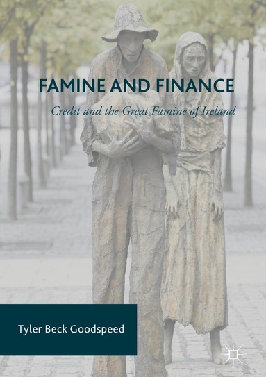 bokomslag Famine and Finance